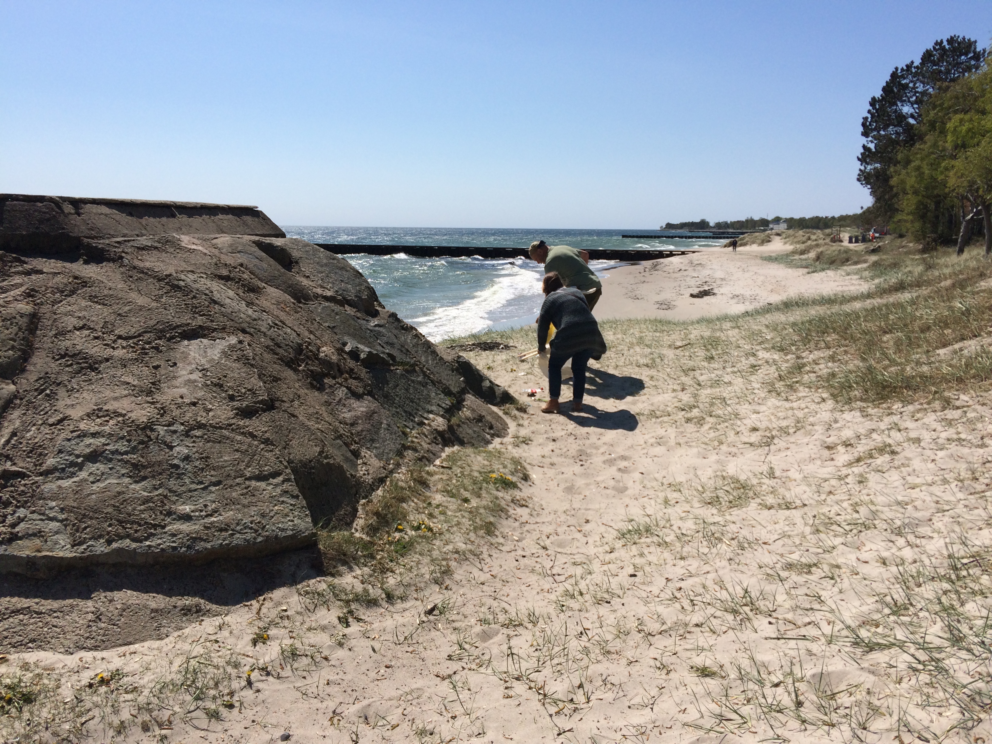 Gemensam Skräpplockning Stranden